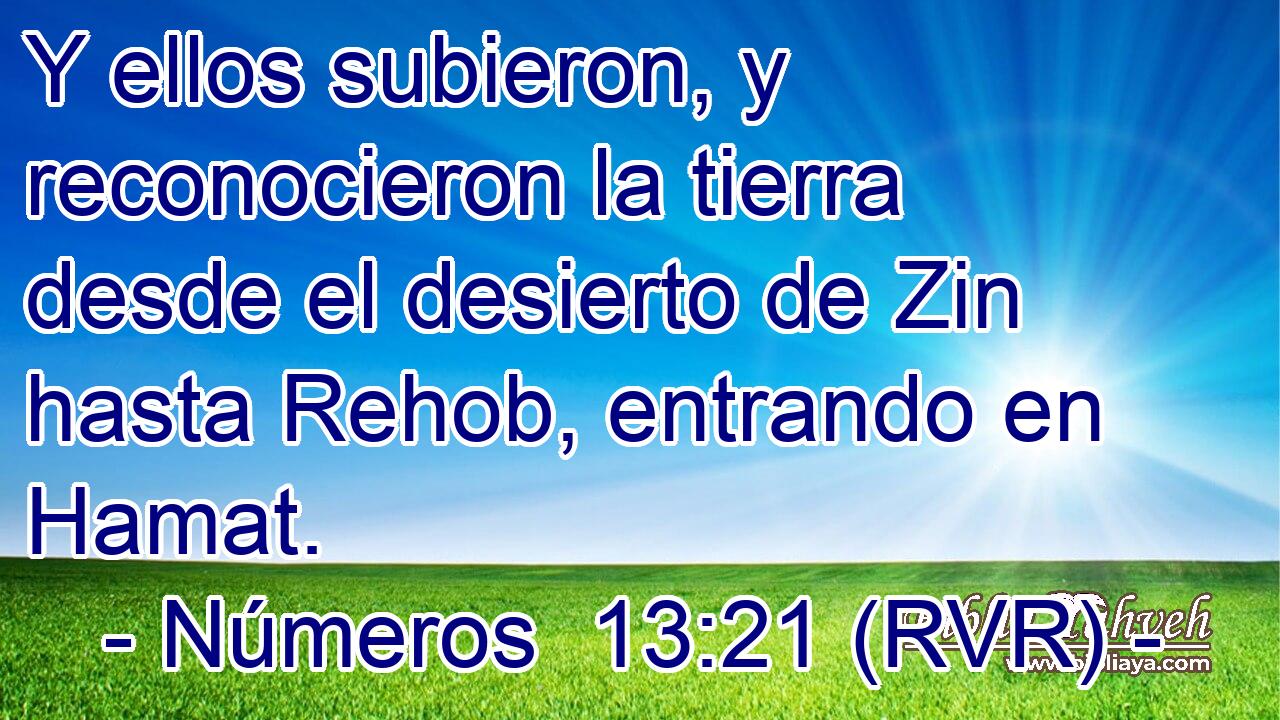 Y ellos subieron, y reconocieron la tierra desde el desierto de Zin hasta Rehob, entrando en Hamat.