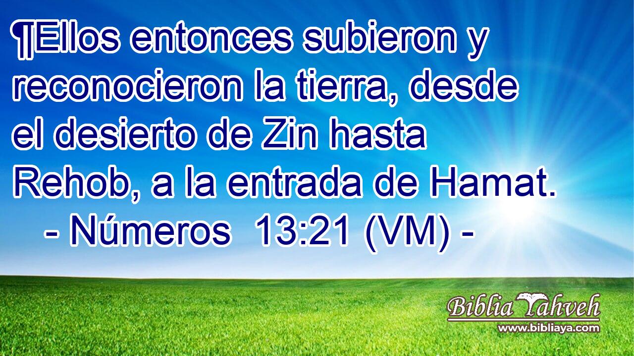  ¶Ellos entonces subieron y reconocieron la tierra, desde el desierto de Zin hasta Rehob, a la entrada de Hamat. 