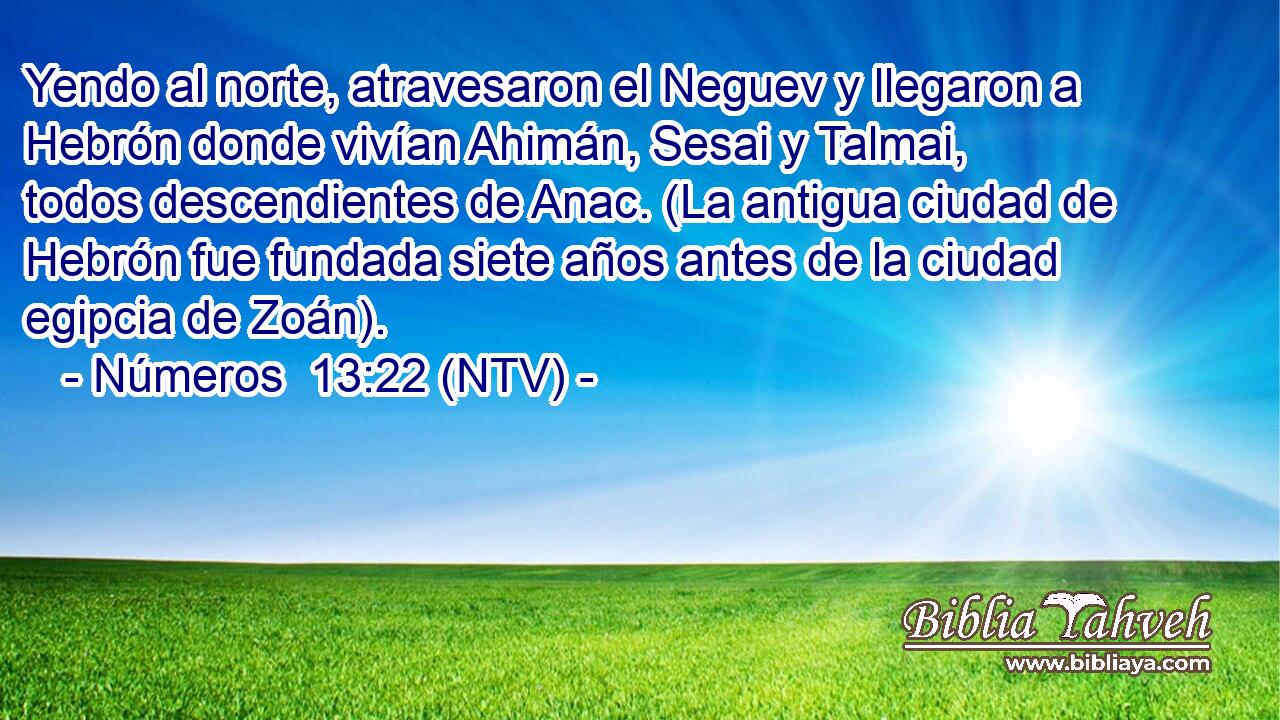 Yendo al norte, atravesaron el Neguev y llegaron a Hebrón donde vivían Ahimán, Sesai y Talmai, todos descendientes de Anac. (La antigua ciudad de Hebrón fue fundada siete años antes de la ciudad egipcia de Zoán).