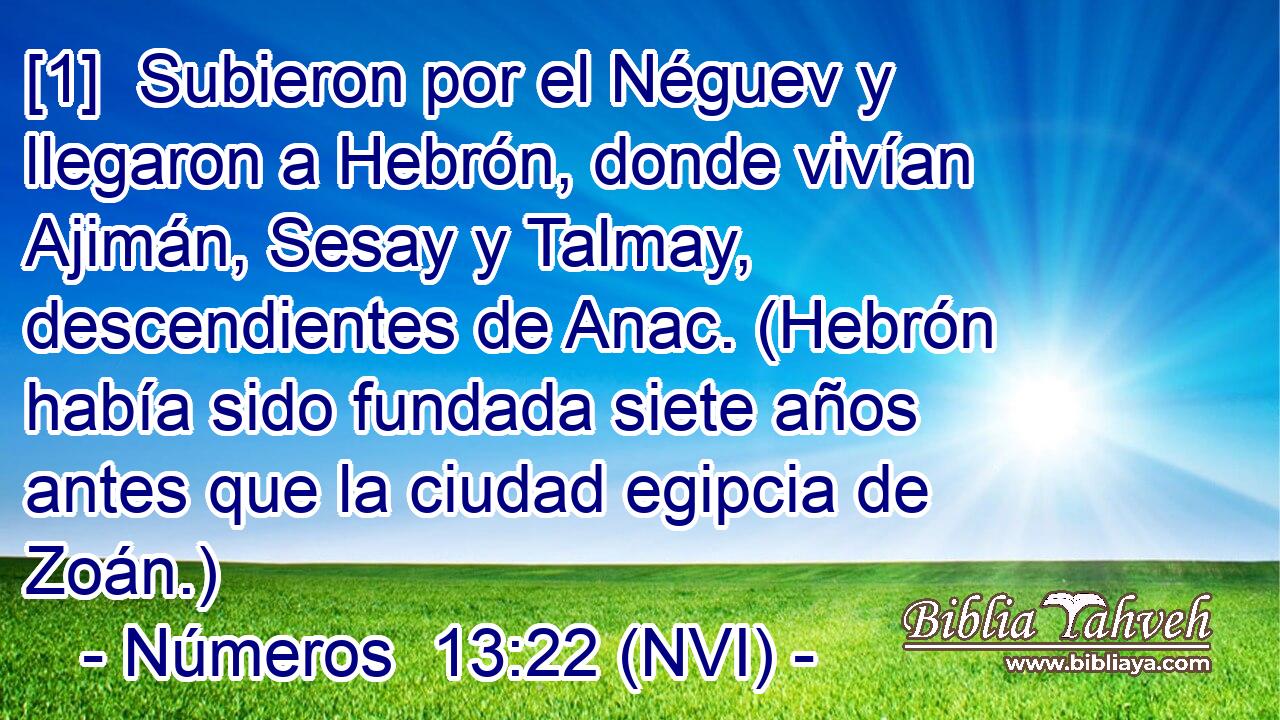  [1]  Subieron por el Néguev y llegaron a Hebrón, donde vivían Ajimán, Sesay y Talmay, descendientes de Anac. (Hebrón había sido fundada siete años antes que la ciudad egipcia de Zoán.) 