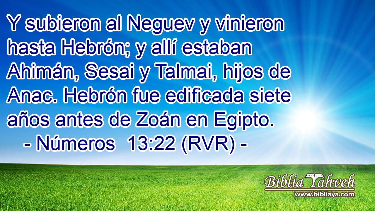 Y subieron al Neguev y vinieron hasta Hebrón; y allí estaban Ahimán, Sesai y Talmai, hijos de Anac. Hebrón fue edificada siete años antes de Zoán en Egipto.