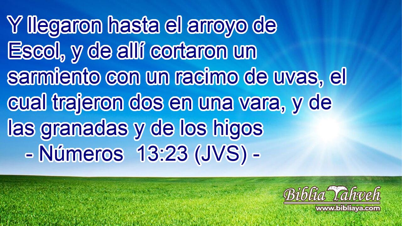 Y llegaron hasta el arroyo de Escol, y de allí cortaron un sarmiento con un racimo de uvas, el cual trajeron dos en una vara, y de las granadas y de los higos
