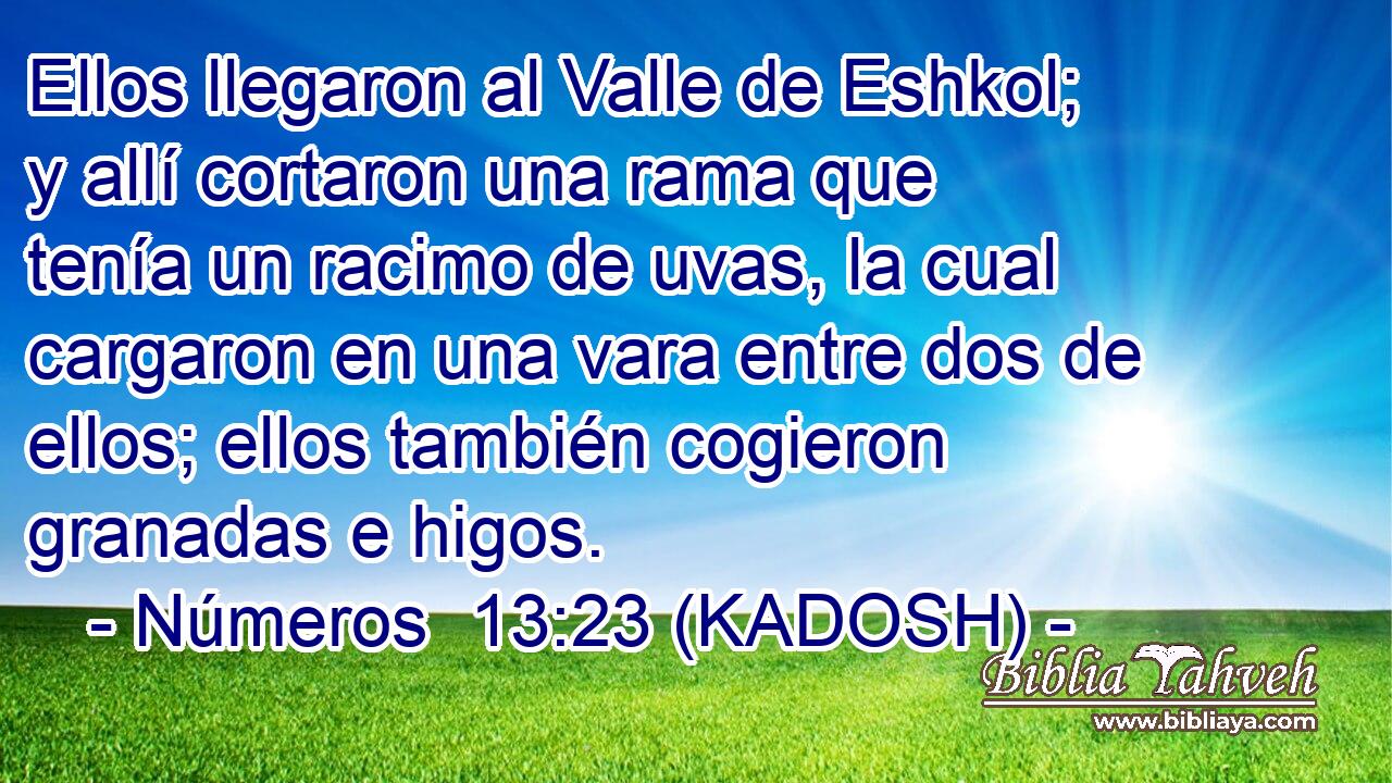  Ellos llegaron al Valle de Eshkol; y allí cortaron una rama que tenía un racimo de uvas, la cual cargaron en una vara entre dos de ellos; ellos también cogieron granadas e higos. 