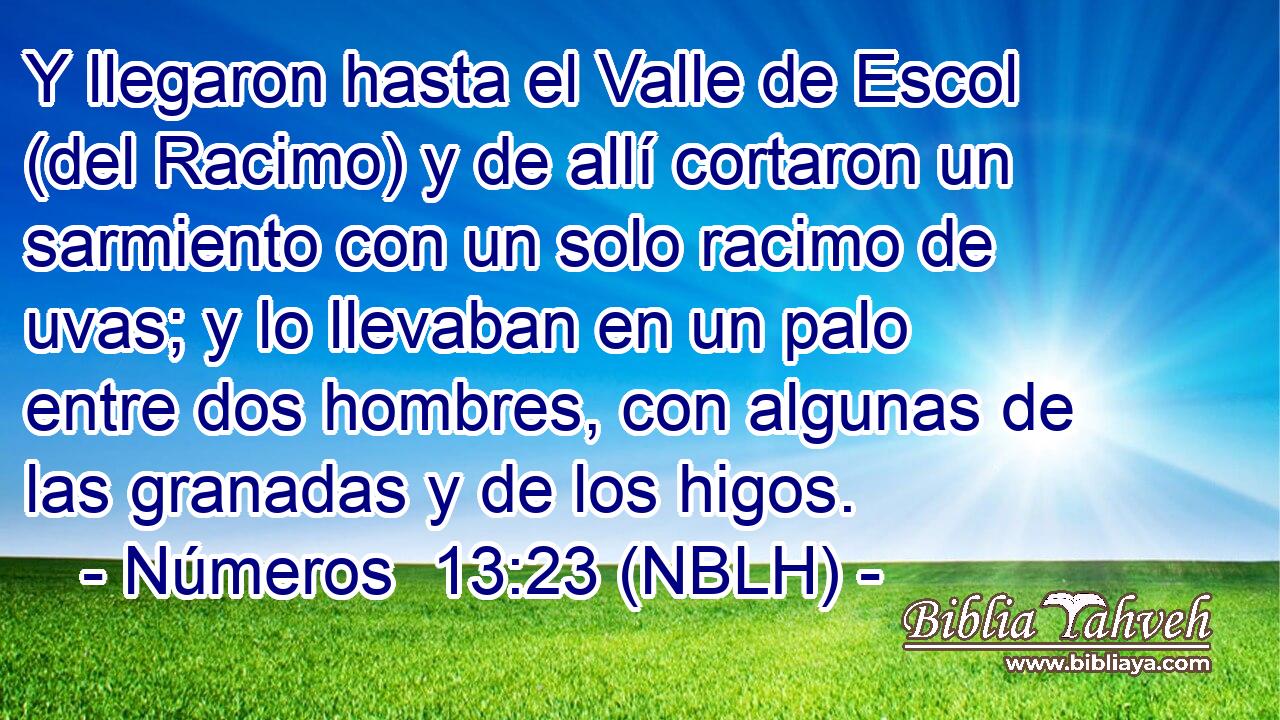  Y llegaron hasta el Valle de Escol (del Racimo) y de allí cortaron un sarmiento con un solo racimo de uvas; y lo llevaban en un palo entre dos hombres, con algunas de las granadas y de los higos. 