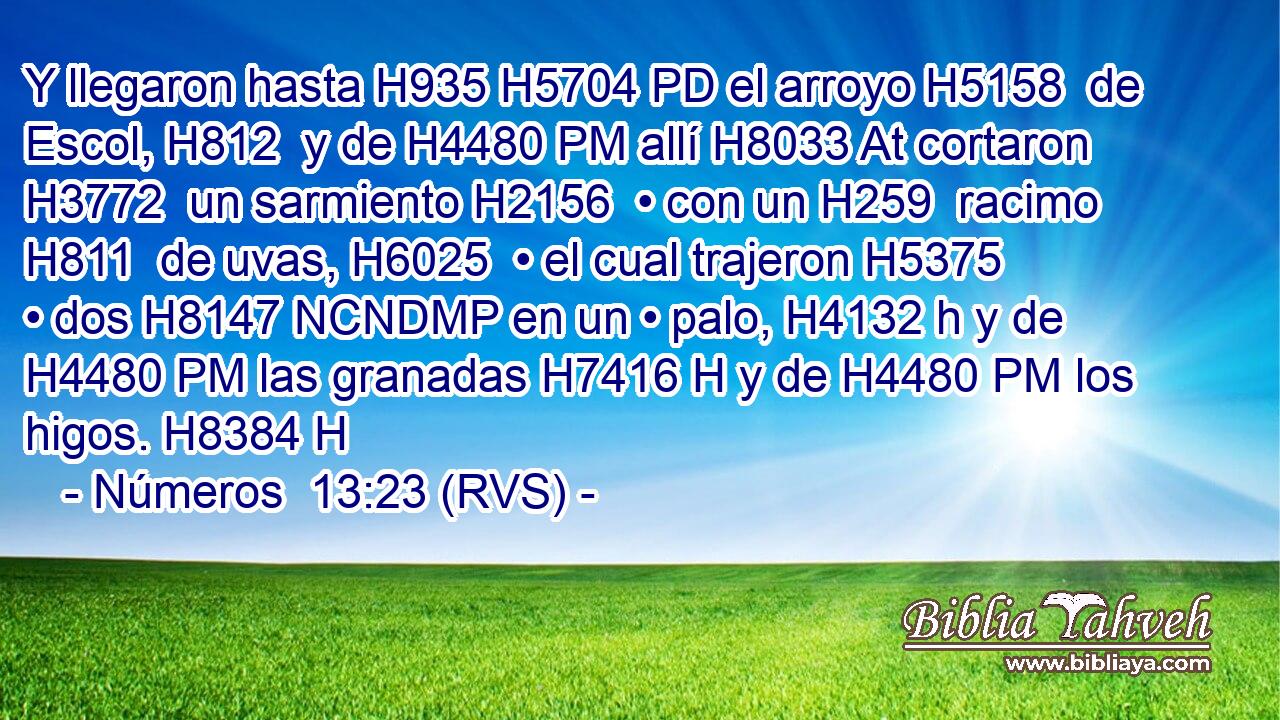 Y llegaron hasta H935 H5704 PD el arroyo H5158  de Escol, H812  y de H4480 PM allí H8033 At cortaron H3772  un sarmiento H2156  • con un H259  racimo H811  de uvas, H6025  • el cual trajeron H5375  • dos H8147 NCNDMP en un • palo, H4132 h y de H4480 PM las granadas H7416 H y de H4480 PM los higos. H8384 H 