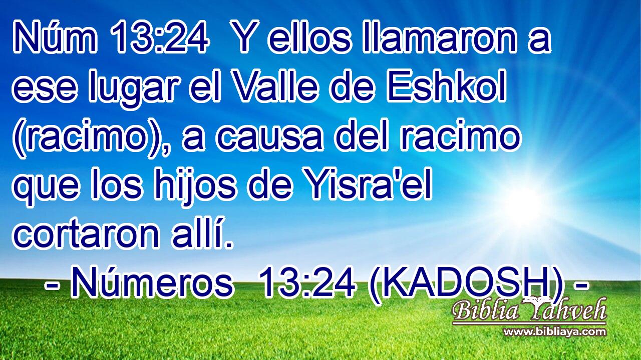  Y ellos llamaron a ese lugar el Valle de Eshkol (racimo), a causa del racimo que los hijos de Yisra'el cortaron allí. 
