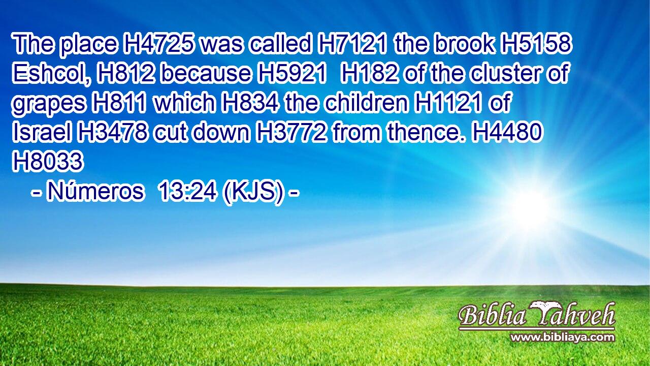 The place H4725 was called H7121 the brook H5158 Eshcol, H812 because H5921  H182 of the cluster of grapes H811 which H834 the children H1121 of Israel H3478 cut down H3772 from thence. H4480 H8033