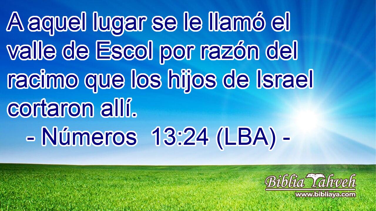 A aquel lugar se le llamó el valle de Escol por razón del racimo que los hijos de Israel cortaron allí.