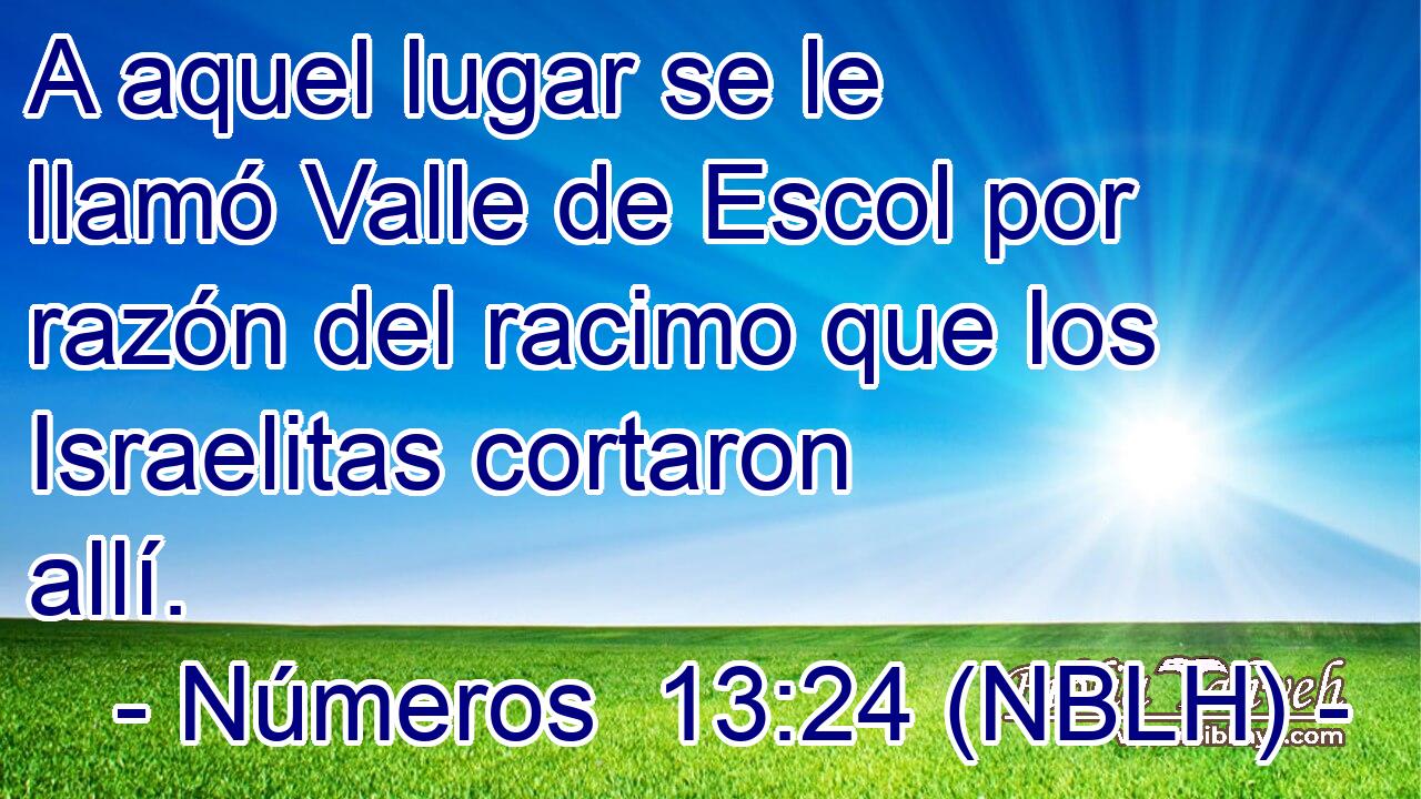  A aquel lugar se le llamó Valle de Escol por razón del racimo que los Israelitas cortaron allí. 