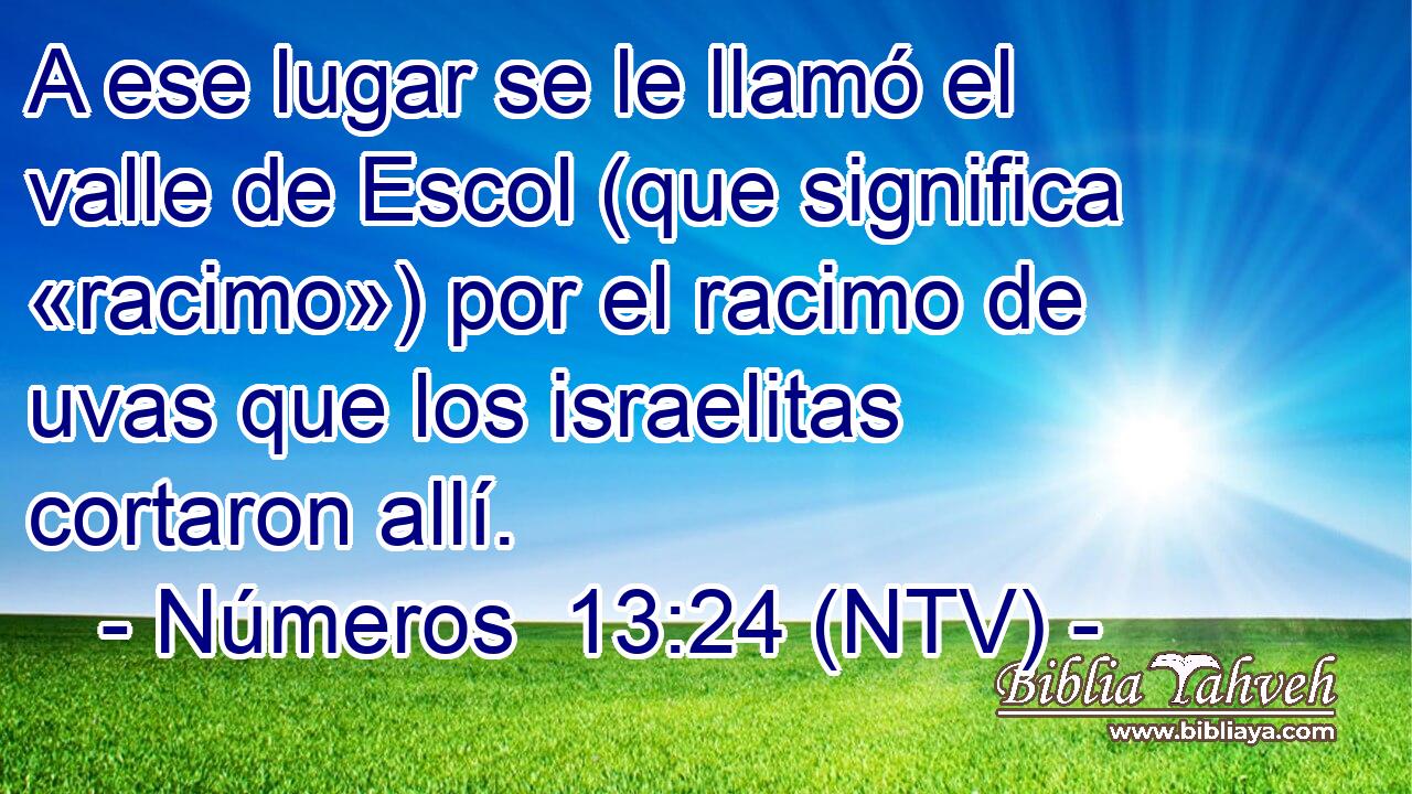 A ese lugar se le llamó el valle de Escol (que significa «racimo») por el racimo de uvas que los israelitas cortaron allí.