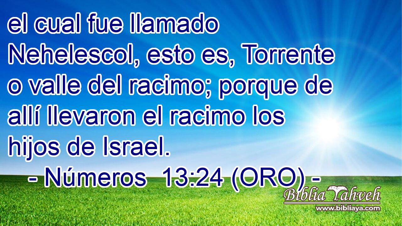  el cual fue llamado Nehelescol, esto es, Torrente o valle del racimo; porque de allí llevaron el racimo los hijos de Israel. 