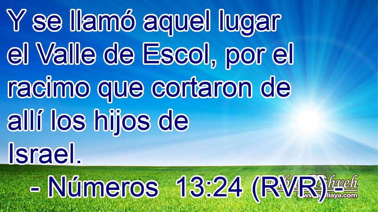 Y se llamó aquel lugar el Valle de Escol, por el racimo que cortaron de allí los hijos de Israel.