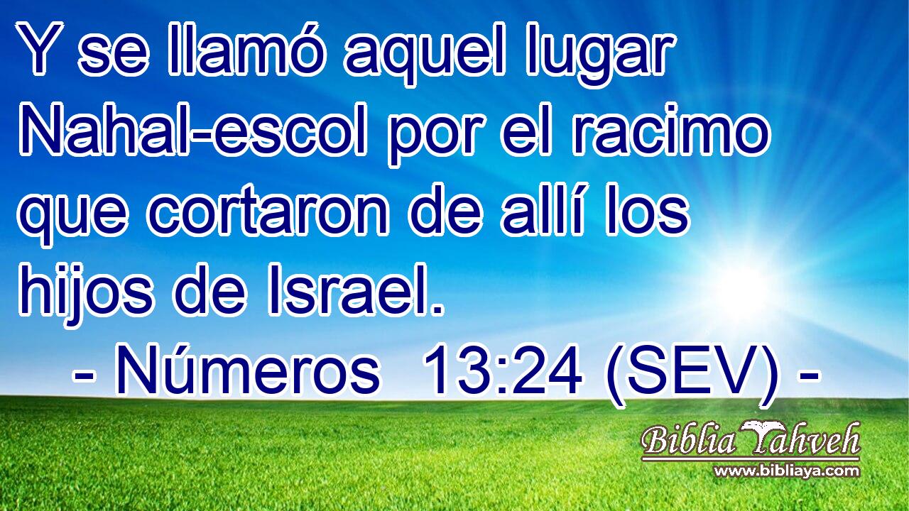 Y se llamó aquel lugar Nahal-escol por el racimo que cortaron de allí los hijos de Israel.