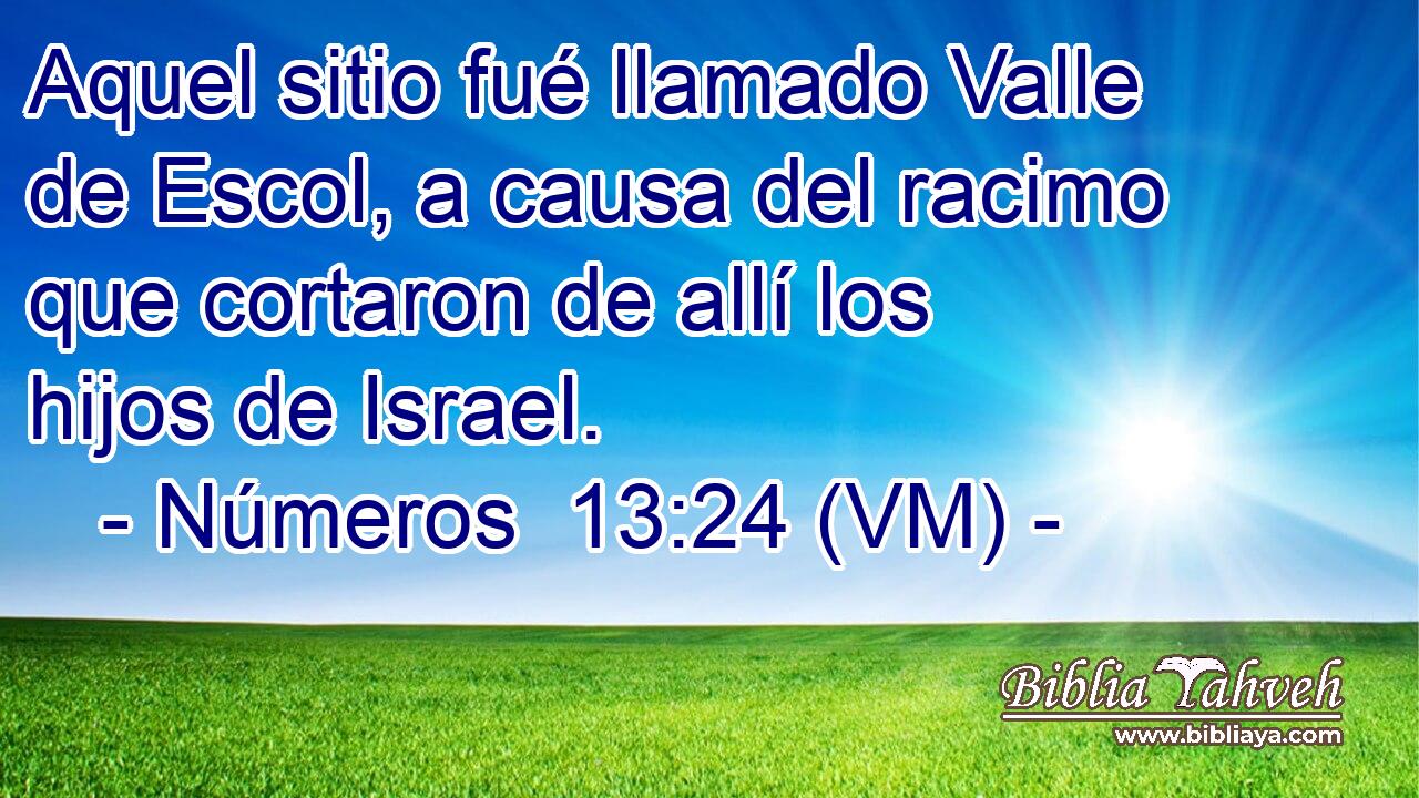  Aquel sitio fué llamado Valle de Escol, a causa del racimo que cortaron de allí los hijos de Israel. 