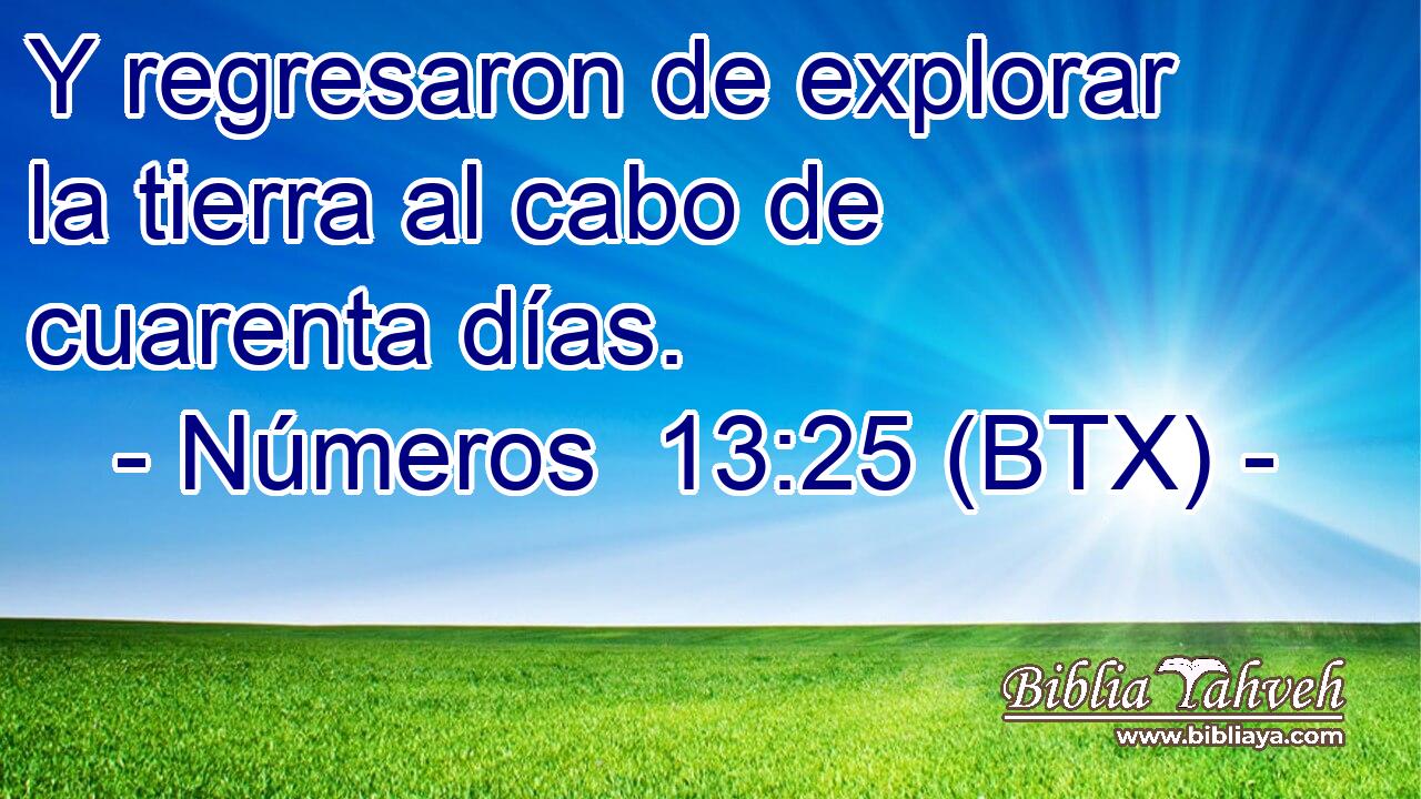 Y regresaron de explorar la tierra al cabo de cuarenta días.