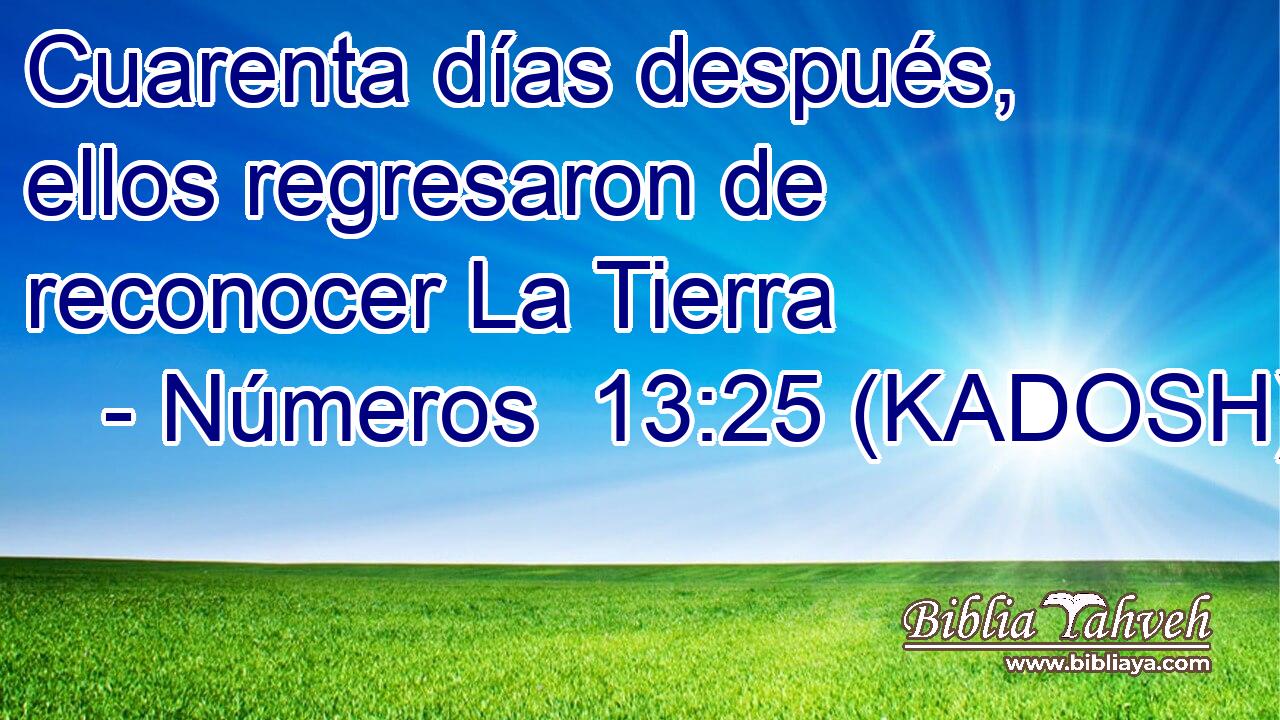  Cuarenta días después, ellos regresaron de reconocer La Tierra 