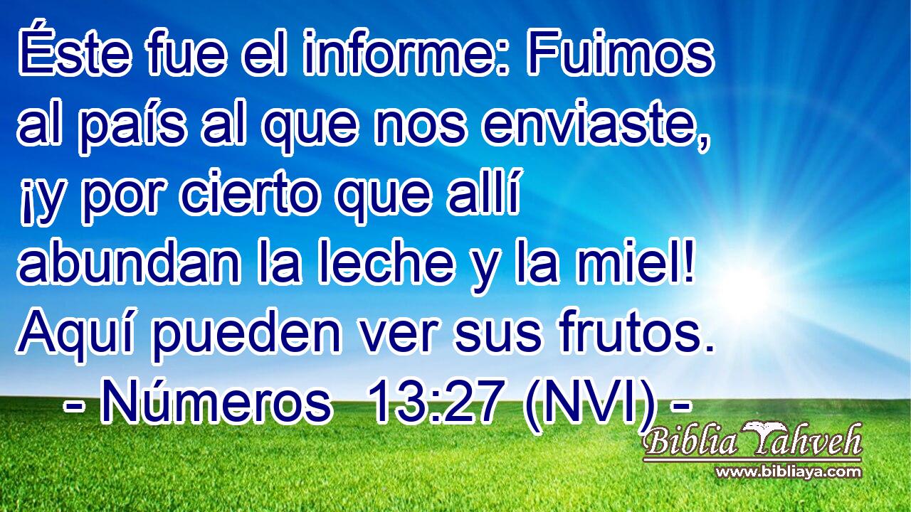  Éste fue el informe: Fuimos al país al que nos enviaste, ¡y por cierto que allí abundan la leche y la miel! Aquí pueden ver sus frutos. 