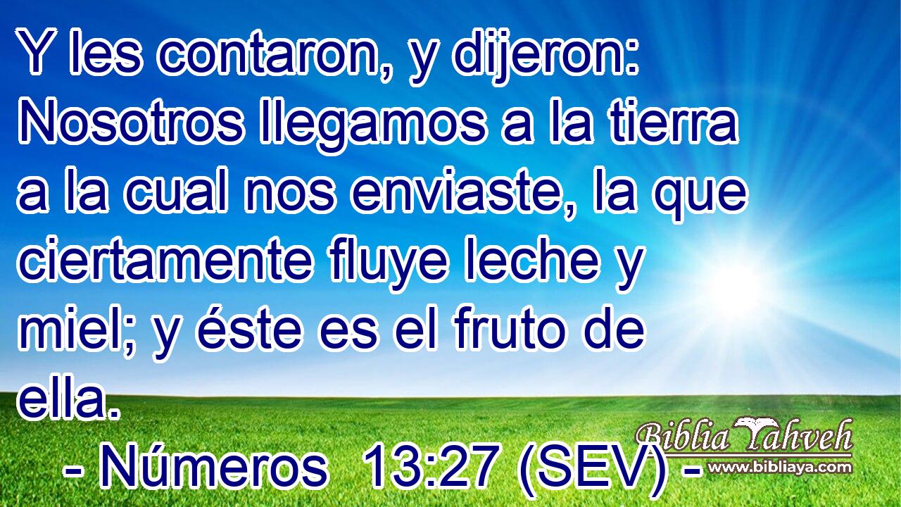 Y les contaron, y dijeron: Nosotros llegamos a la tierra a la cual nos enviaste, la que ciertamente fluye leche y miel; y éste es el fruto de ella.