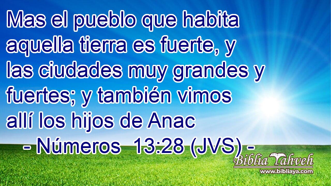 Mas el pueblo que habita aquella tierra es fuerte, y las ciudades muy grandes y fuertes; y también vimos allí los hijos de Anac