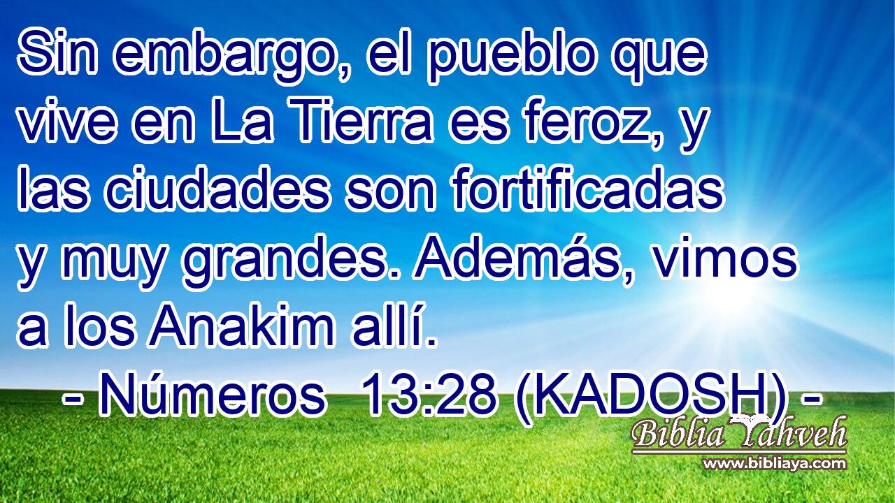  Sin embargo, el pueblo que vive en La Tierra es feroz, y las ciudades son fortificadas y muy grandes. Además, vimos a los Anakim allí. 