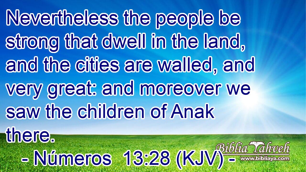Nevertheless the people be strong that dwell in the land, and the cities are walled, and very great: and moreover we saw the children of Anak there.
