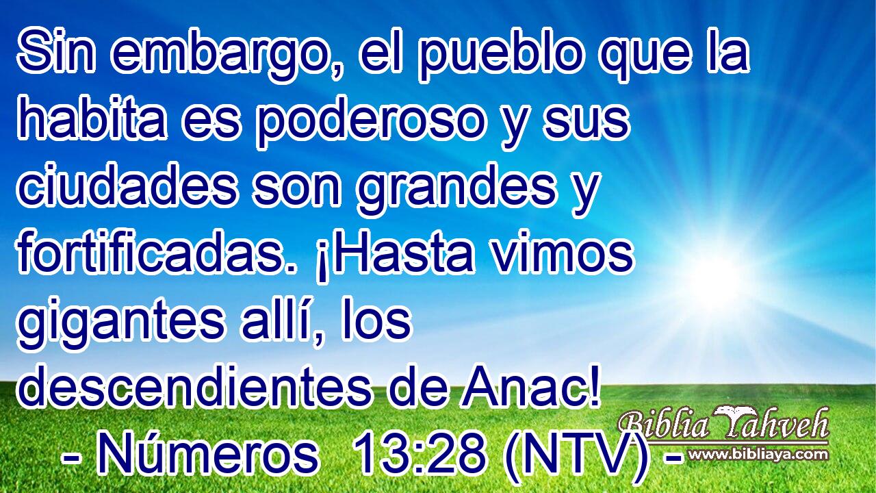 Sin embargo, el pueblo que la habita es poderoso y sus ciudades son grandes y fortificadas. ¡Hasta vimos gigantes allí, los descendientes de Anac!