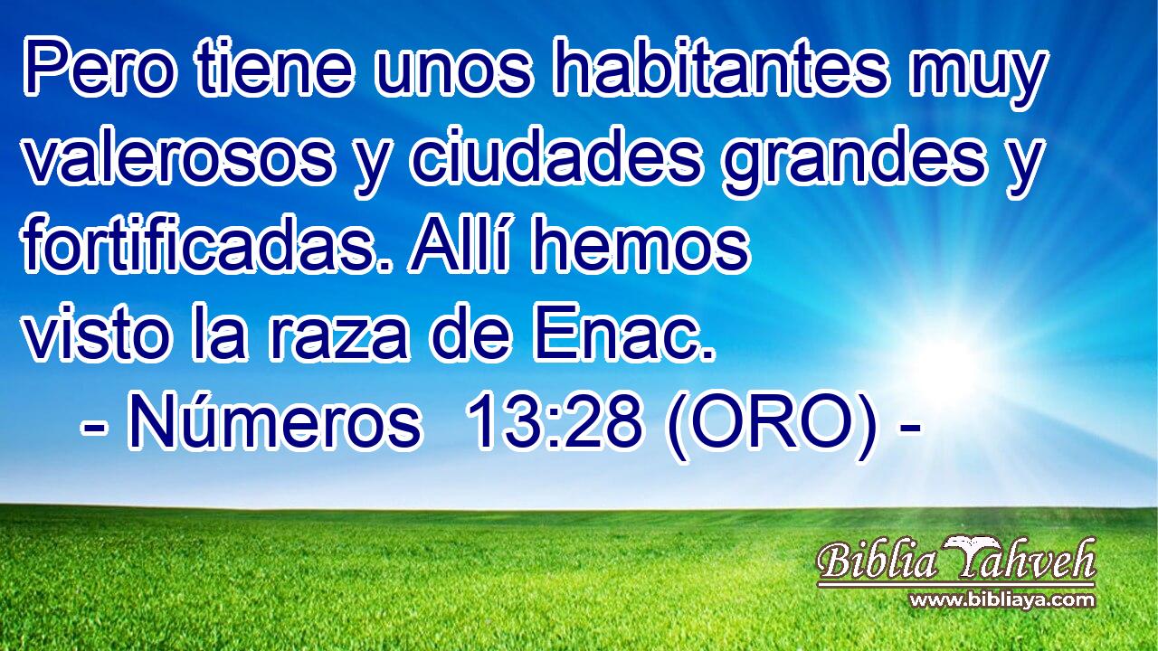  Pero tiene unos habitantes muy valerosos y ciudades grandes y fortificadas. Allí hemos visto la raza de Enac. 