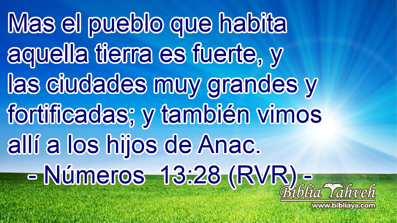 Mas el pueblo que habita aquella tierra es fuerte, y las ciudades muy grandes y fortificadas; y también vimos allí a los hijos de Anac.