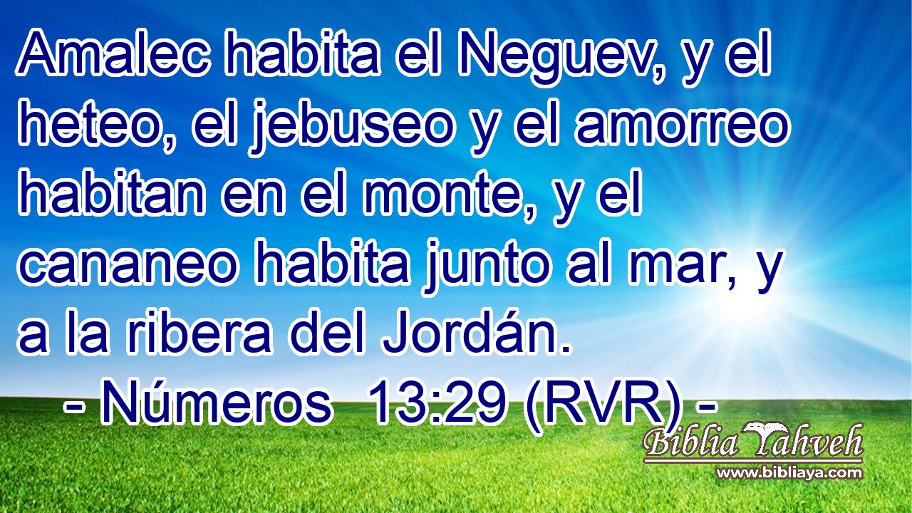 Amalec habita el Neguev, y el heteo, el jebuseo y el amorreo habitan en el monte, y el cananeo habita junto al mar, y a la ribera del Jordán.