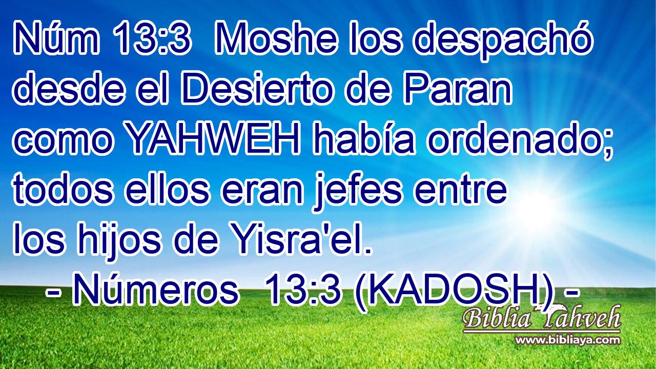  Moshe los despachó desde el Desierto de Paran como YAHWEH había ordenado; todos ellos eran jefes entre los hijos de Yisra'el. 