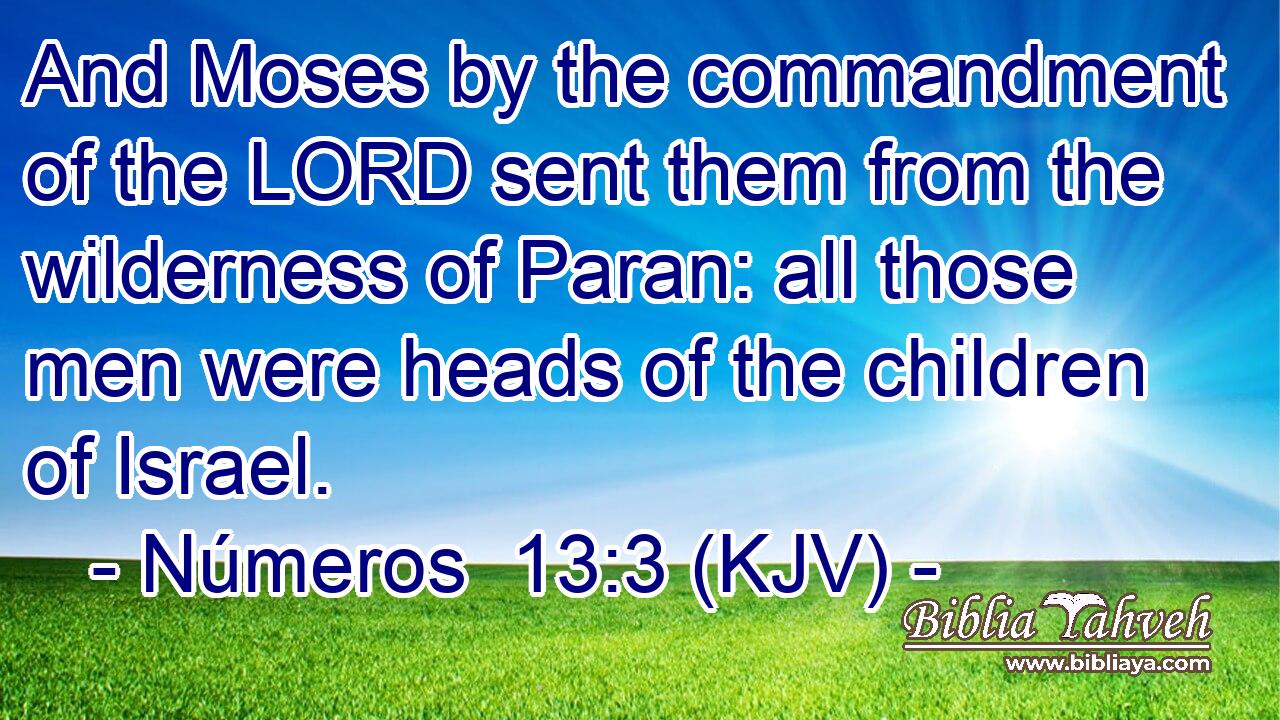 And Moses by the commandment of the LORD sent them from the wilderness of Paran: all those men were heads of the children of Israel.