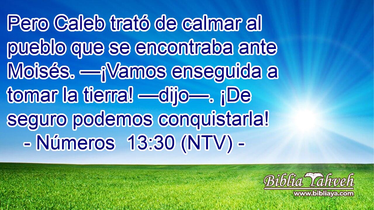 Pero Caleb trató de calmar al pueblo que se encontraba ante Moisés. —¡Vamos enseguida a tomar la tierra! —dijo—. ¡De seguro podemos conquistarla!