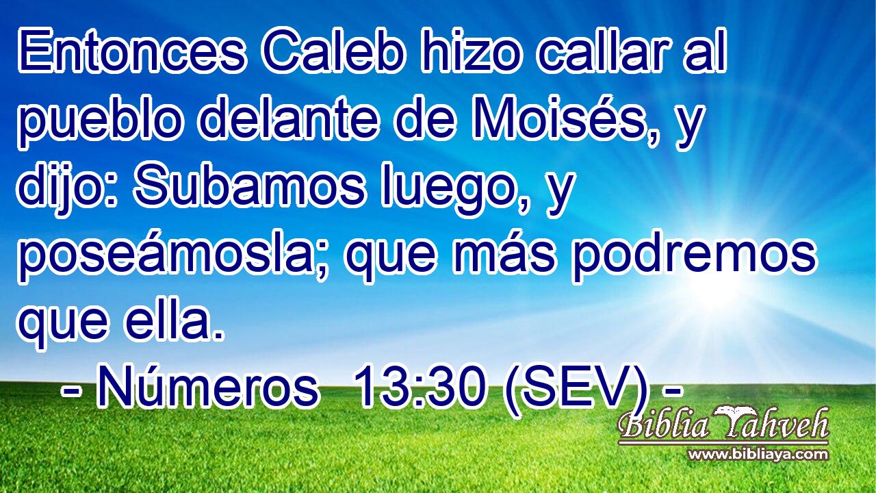 Entonces Caleb hizo callar al pueblo delante de Moisés, y dijo: Subamos luego, y poseámosla; que más podremos que ella.