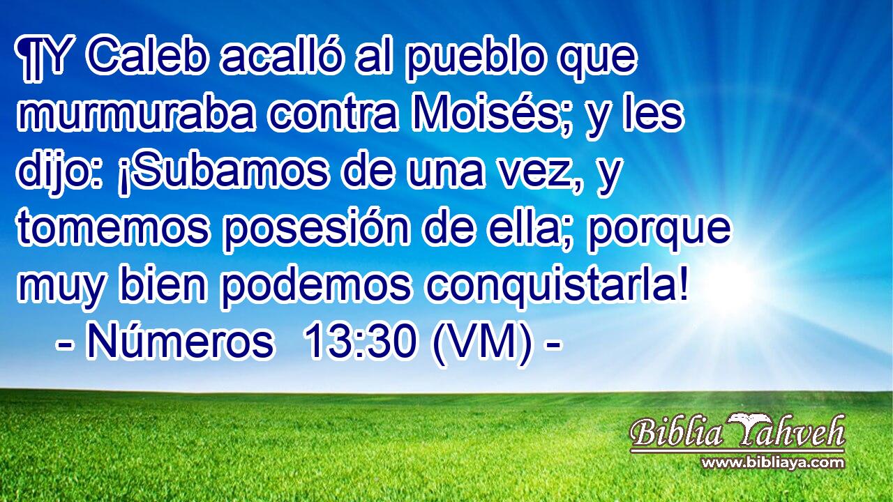  ¶Y Caleb acalló al pueblo que murmuraba contra Moisés; y les dijo: ¡Subamos de una vez, y tomemos posesión de ella; porque muy bien podemos conquistarla! 