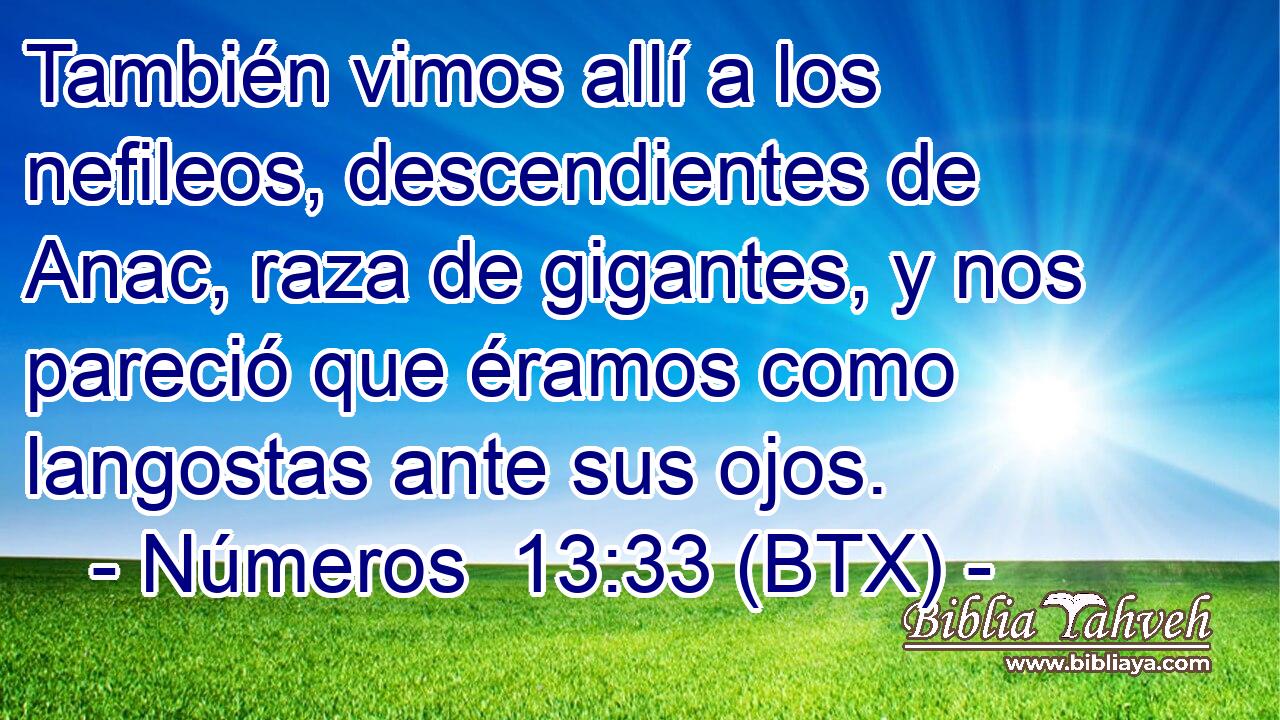 También vimos allí a los nefileos, descendientes de Anac, raza de gigantes, y nos pareció que éramos como langostas ante sus ojos.