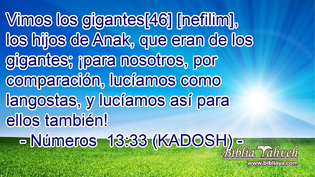  Vimos los gigantes[46] [nefilim], los hijos de Anak, que eran de los gigantes; ¡para nosotros, por comparación, lucíamos como langostas, y lucíamos así para ellos también! 