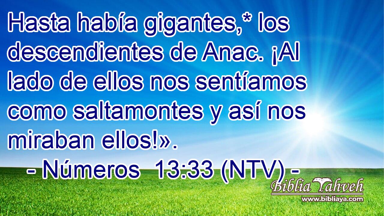 Hasta había gigantes,* los descendientes de Anac. ¡Al lado de ellos nos sentíamos como saltamontes y así nos miraban ellos!».