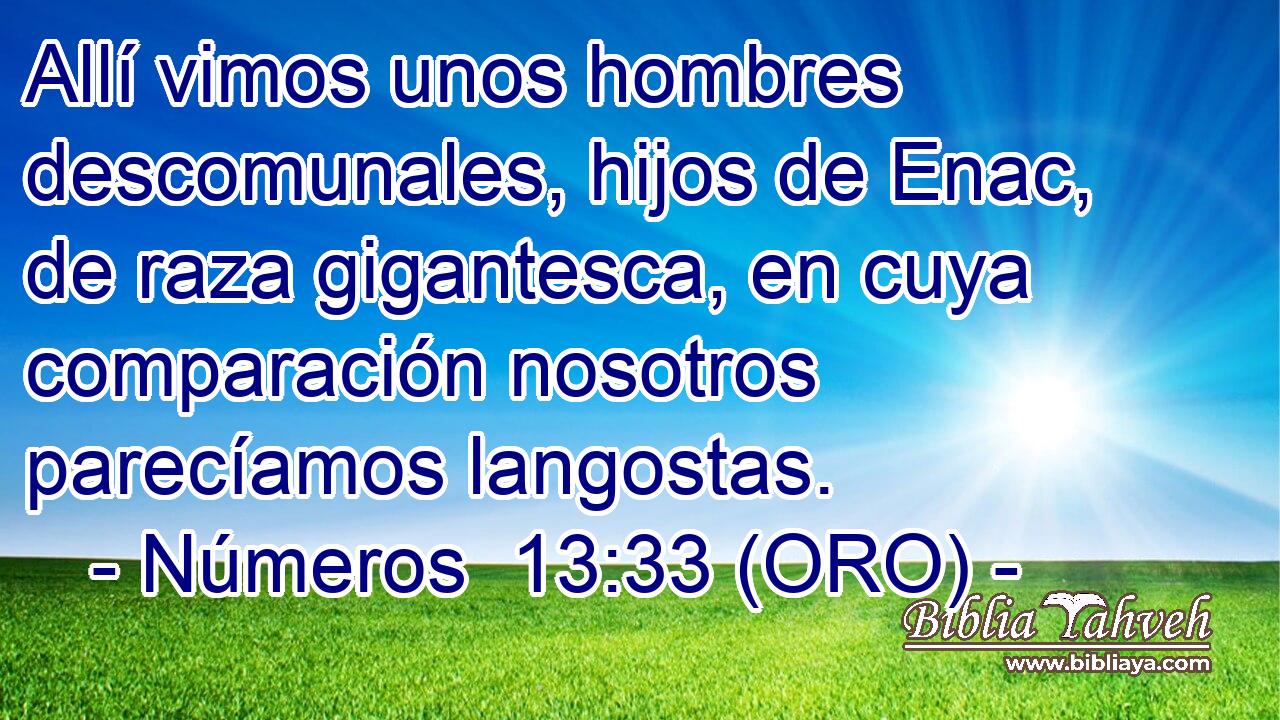  Allí vimos unos hombres descomunales, hijos de Enac, de raza gigantesca, en cuya comparación nosotros parecíamos langostas. 