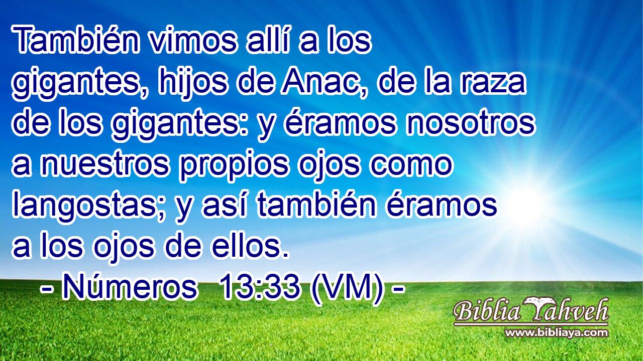  También vimos allí a los gigantes, hijos de Anac, de la raza de los gigantes: y éramos nosotros a nuestros propios ojos como langostas; y así también éramos a los ojos de ellos. 