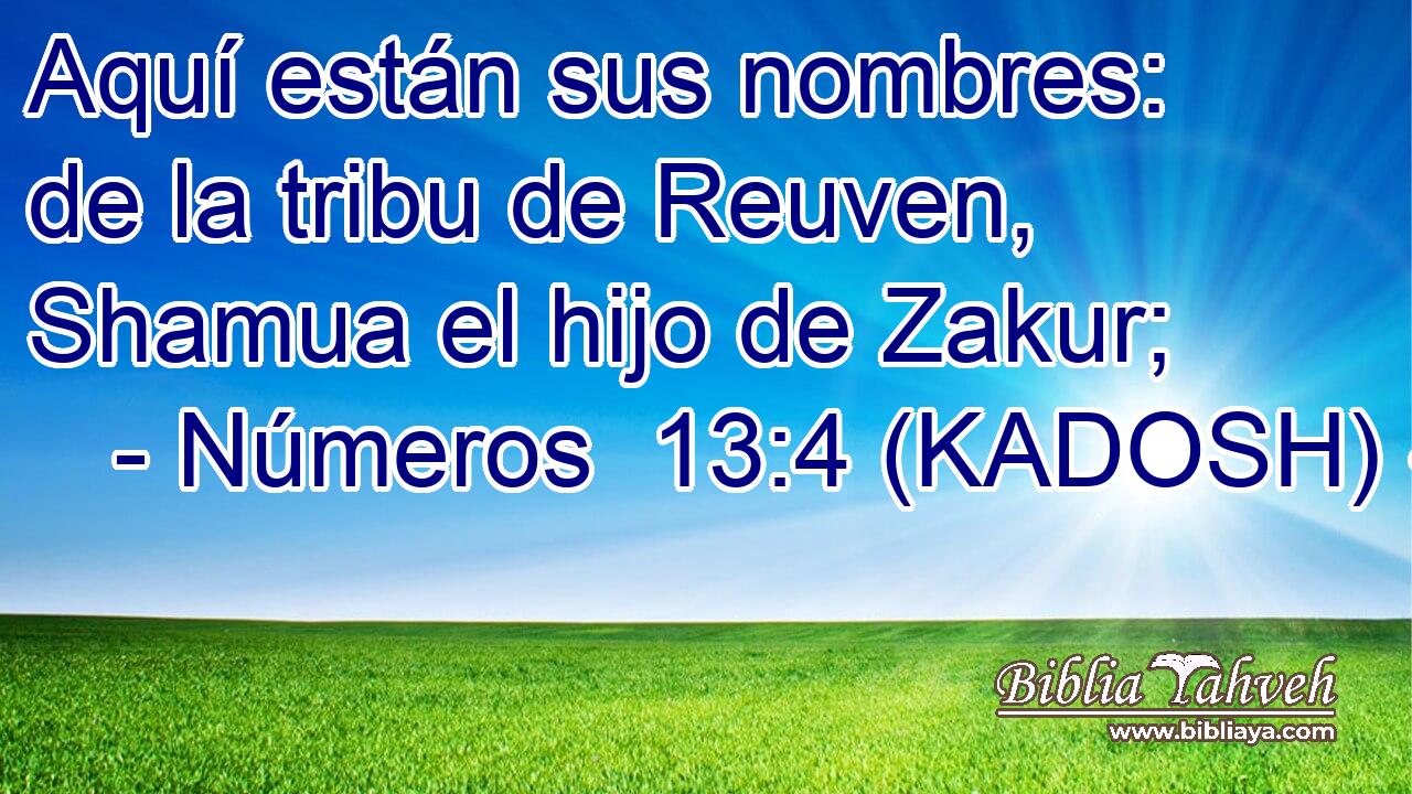  Aquí están sus nombres: de la tribu de Reuven, Shamua el hijo de Zakur; 