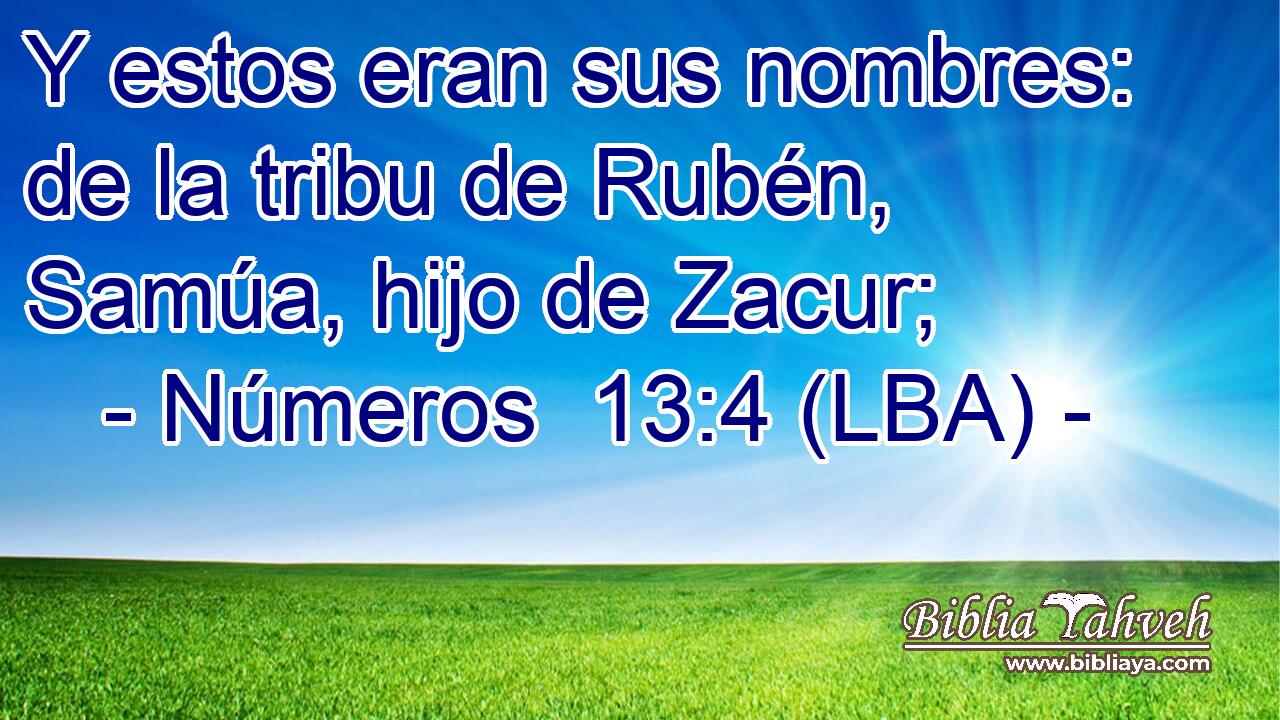 Y estos eran sus nombres: de la tribu de Rubén, Samúa, hijo de Zacur;
