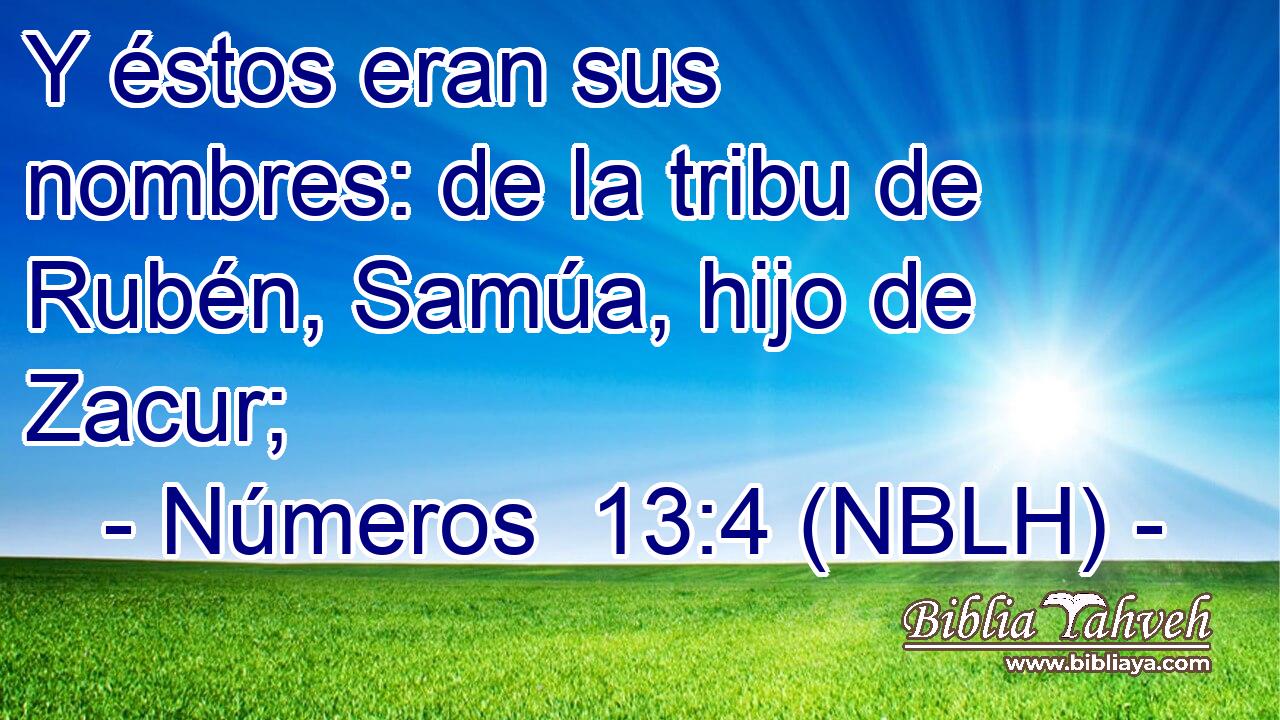  Y éstos eran sus nombres: de la tribu de Rubén, Samúa, hijo de Zacur; 