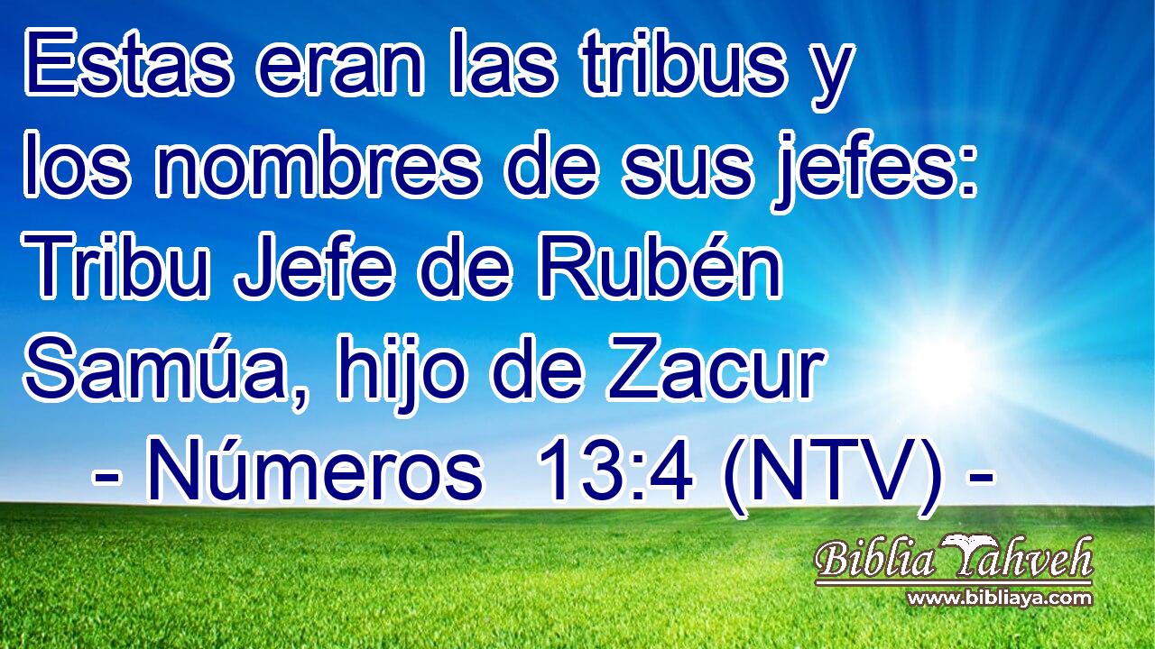 Estas eran las tribus y los nombres de sus jefes: Tribu Jefe de Rubén Samúa, hijo de Zacur