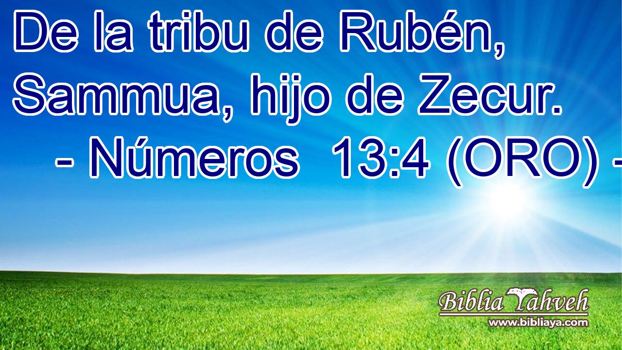  De la tribu de Rubén, Sammua, hijo de Zecur. 