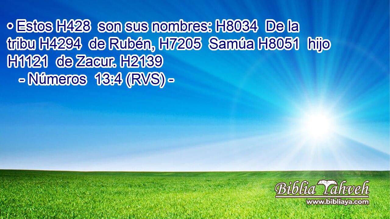 • Estos H428  son sus nombres: H8034  De la tribu H4294  de Rubén, H7205  Samúa H8051  hijo H1121  de Zacur. H2139  