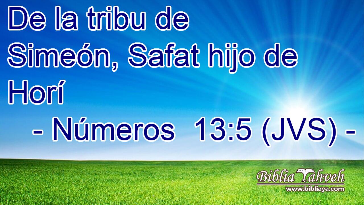 De la tribu de Simeón, Safat hijo de Horí