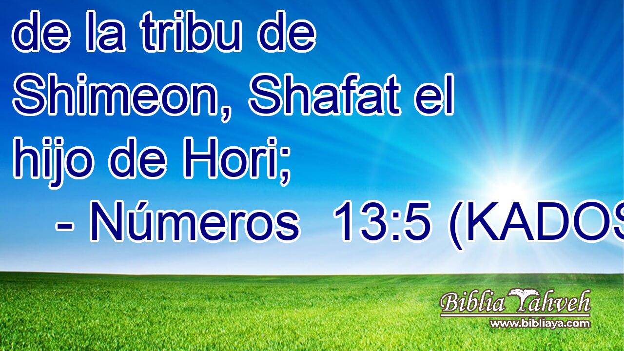  de la tribu de Shimeon, Shafat el hijo de Hori; 