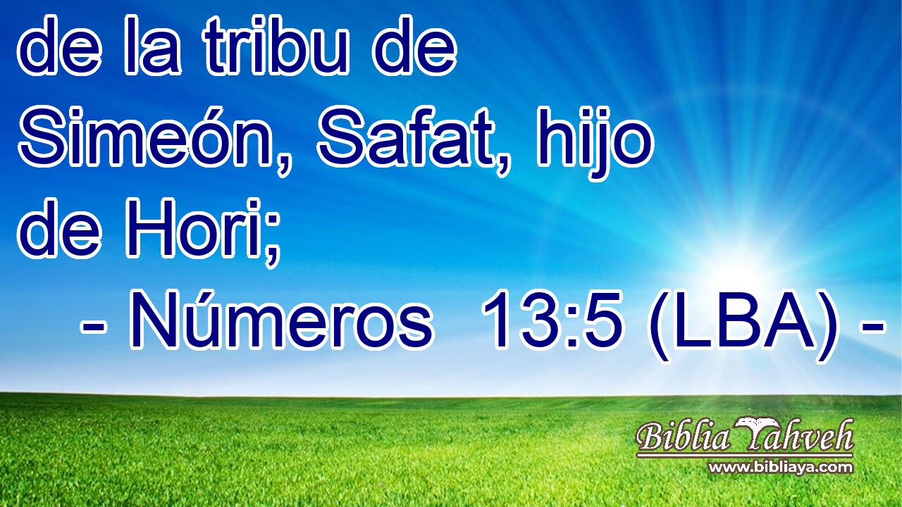 de la tribu de Simeón, Safat, hijo de Hori;