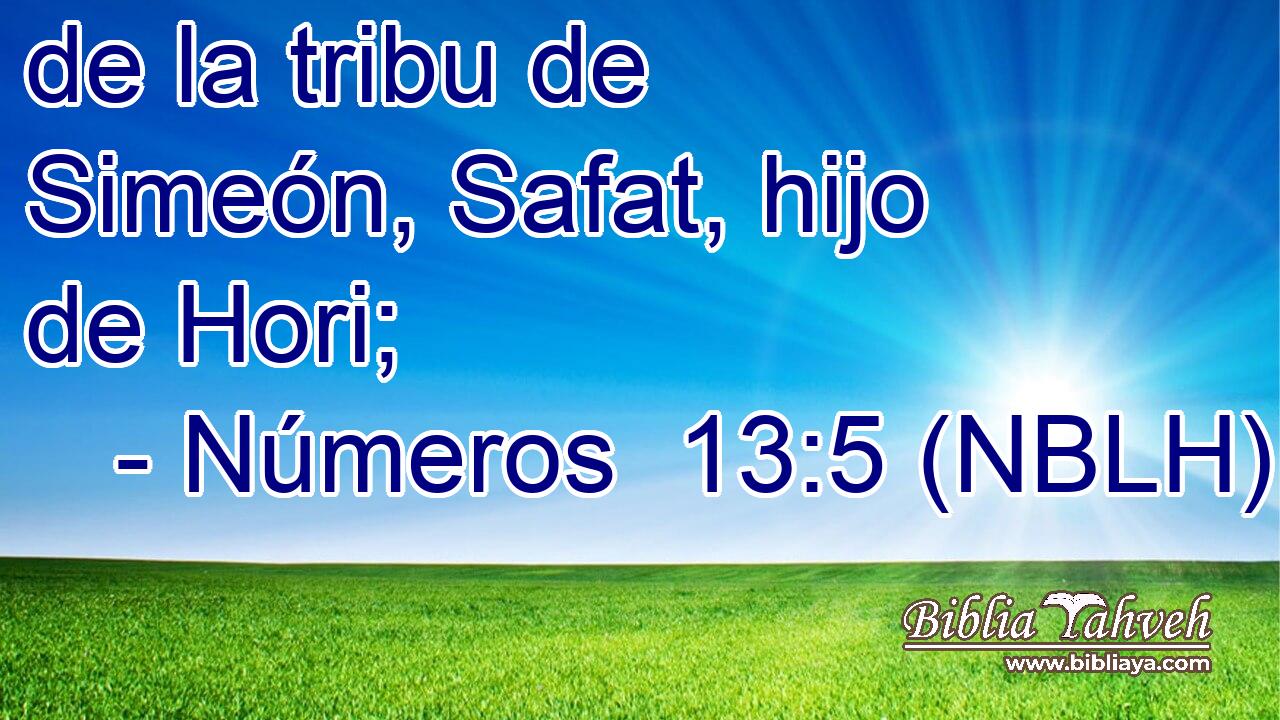  de la tribu de Simeón, Safat, hijo de Hori; 