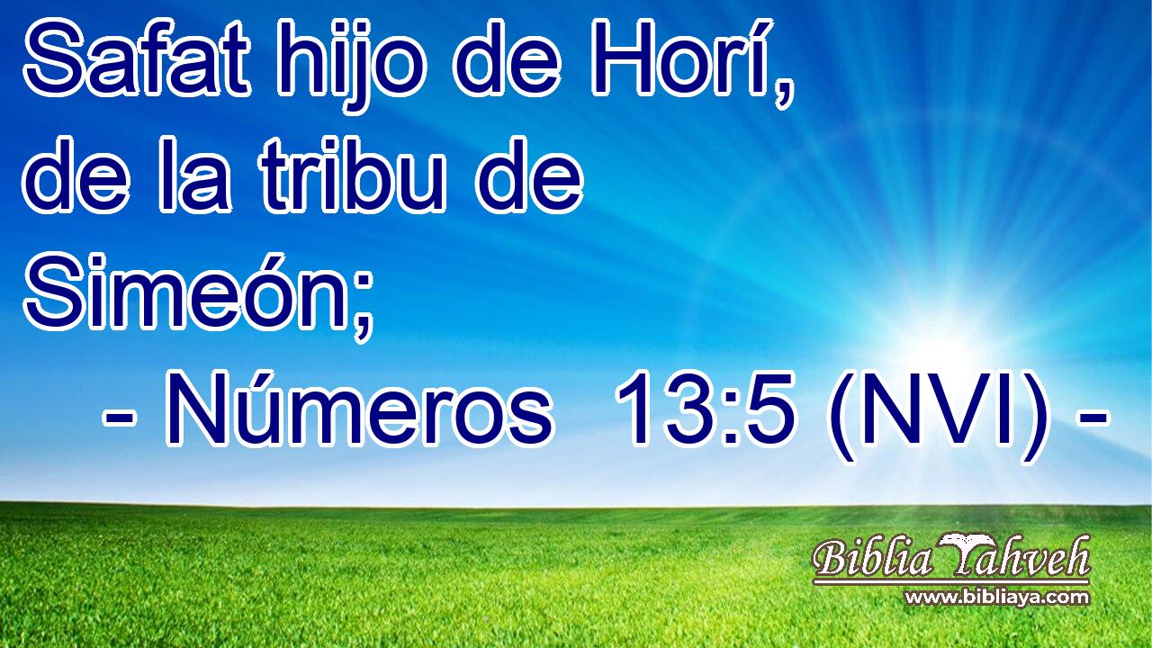  Safat hijo de Horí, de la tribu de Simeón; 